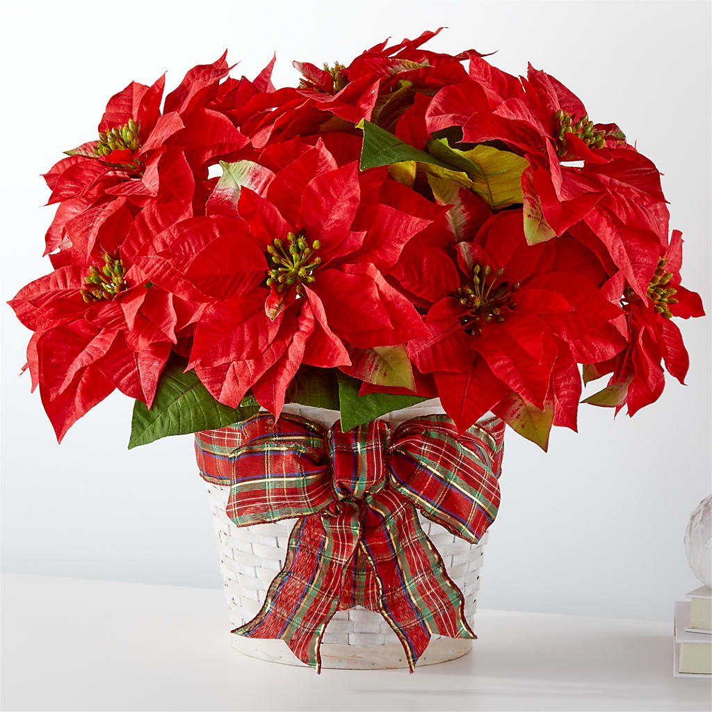Happiest Holidays Poinsettia – Piedmont Florist, Piedmont MO