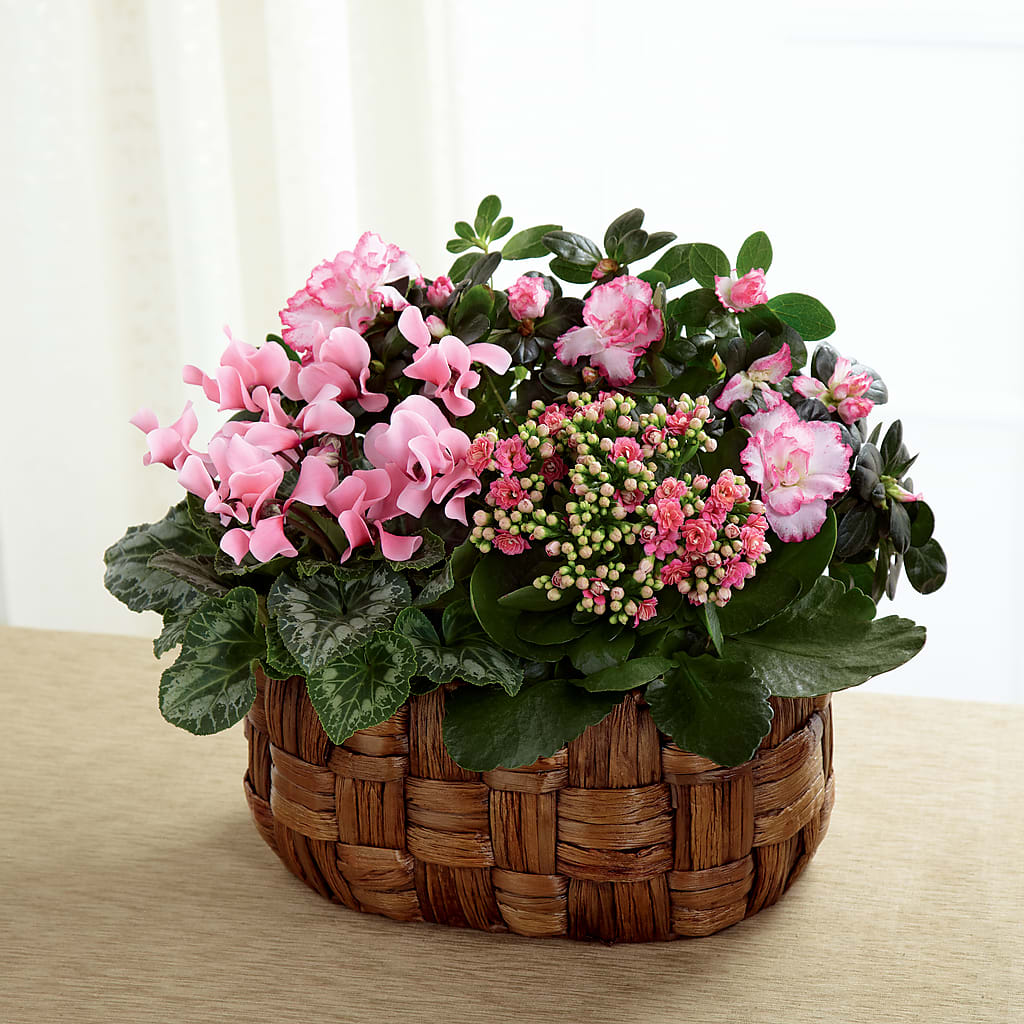 Pink Assortment – Piedmont Florist, Piedmont MO