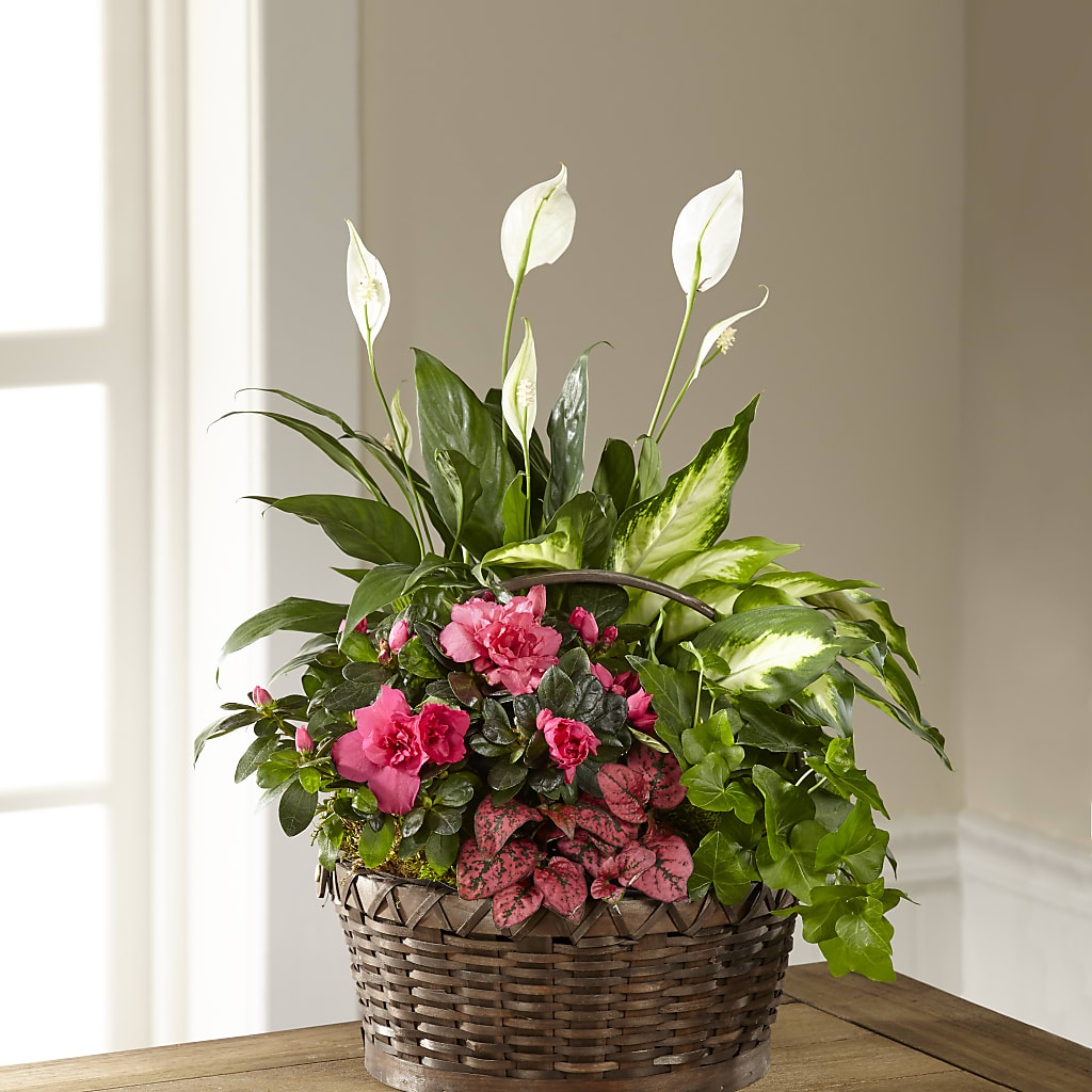 Dream in Pink Dishgarden – Piedmont Florist, Piedmont MO