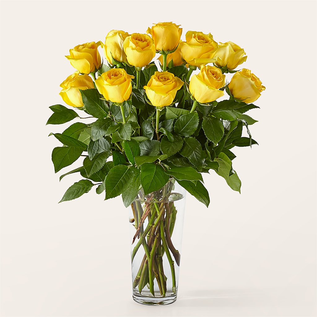 Long Stem Yellow Rose Bouquet – Piedmont Florist, Piedmont MO
