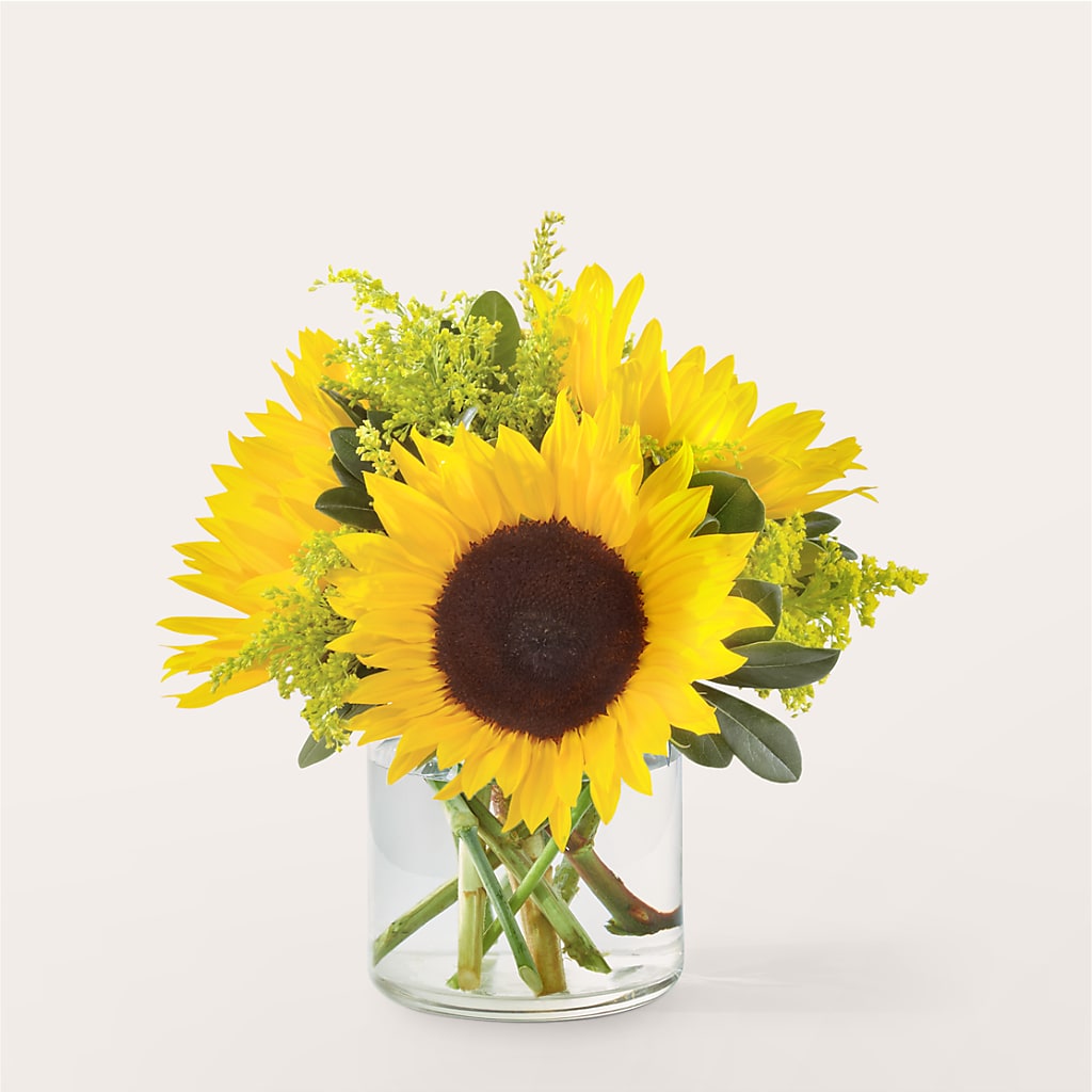 Beaming Sunflower Bouquet – Piedmont Florist, Piedmont MO
