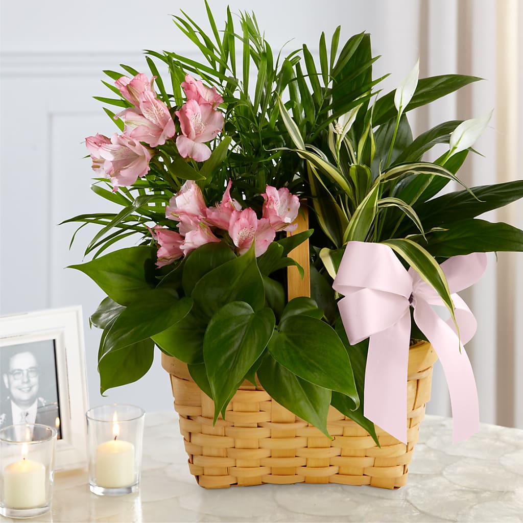 Living Spirit Dishgarden – Piedmont Florist, Piedmont MO