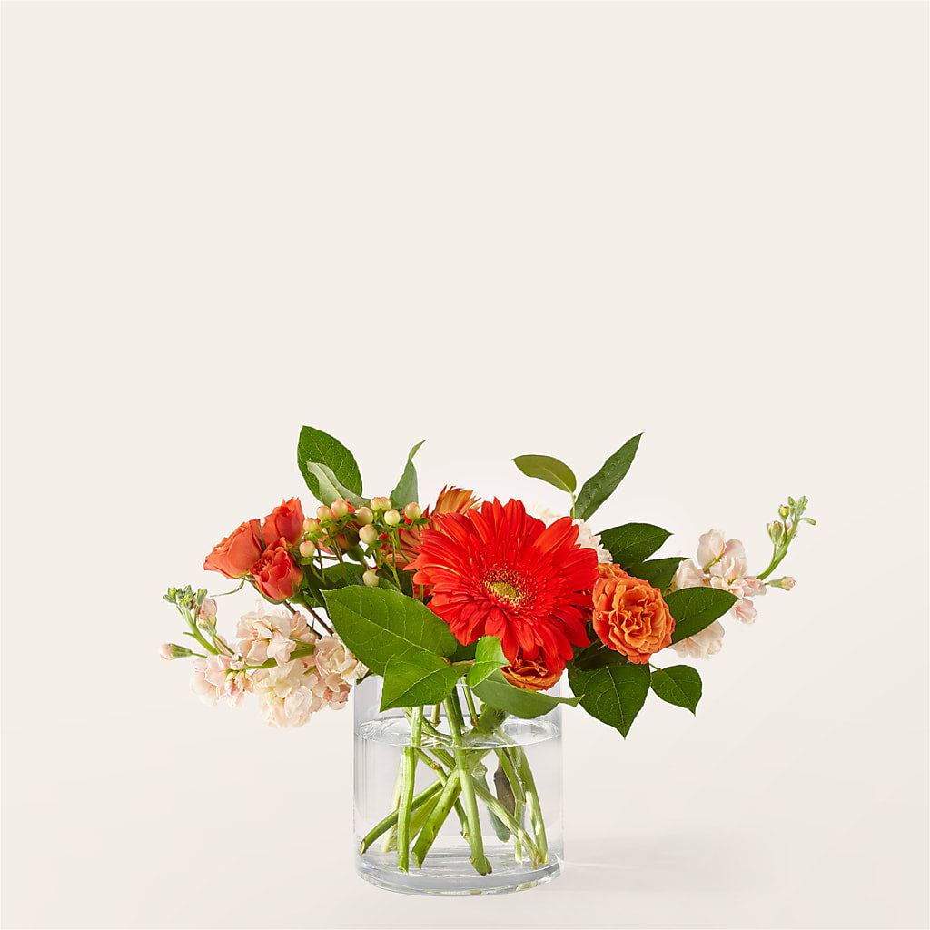 Paloma Please Bouquet – Piedmont Florist, Piedmont MO