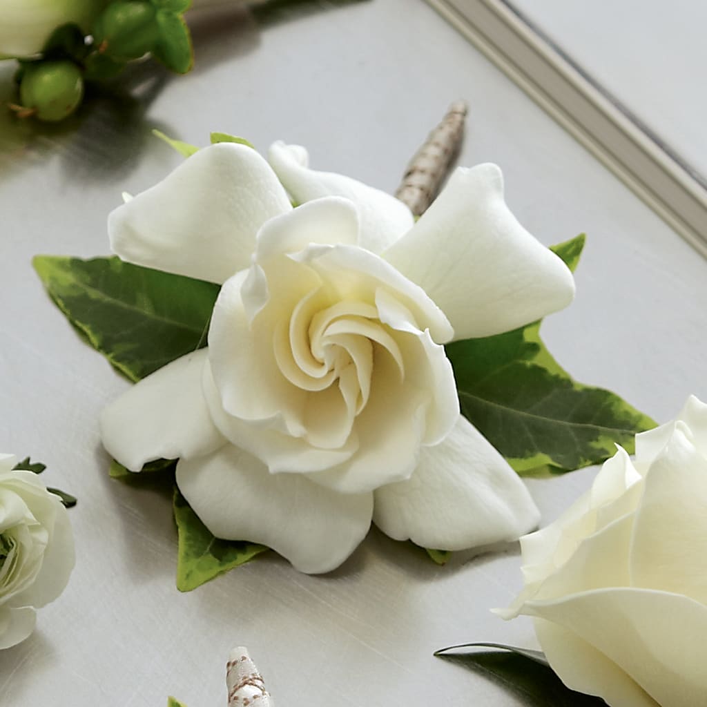 Gardenia Boutonniere – Piedmont Florist, Piedmont MO