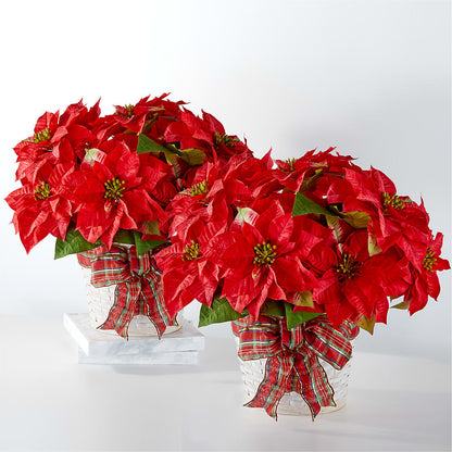 Happiest Holidays Poinsettia Bundle –  Piedmont Florist, Piedmont MO