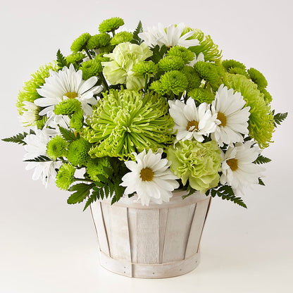 Lucky Charm Basket (Standard) –  Piedmont Florist, Piedmont MO