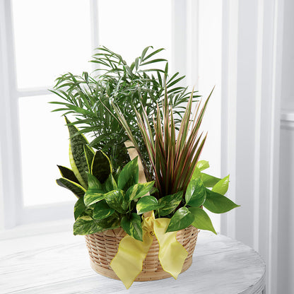 French Garden –  Piedmont Florist, Piedmont MO