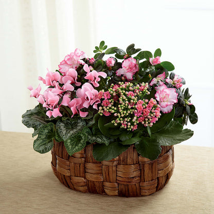 Pink Assortment –  Piedmont Florist, Piedmont MO