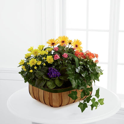 Gentle Blossoms Basket –  Piedmont Florist, Piedmont MO