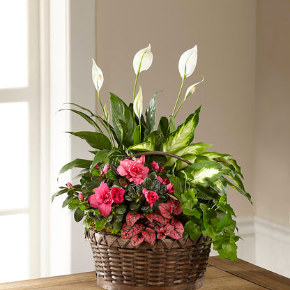 Dream in Pink Dishgarden –  Piedmont Florist, Piedmont MO