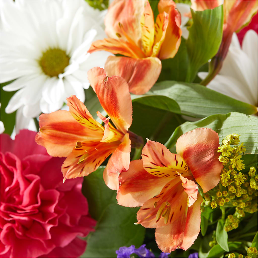 Oopsie Daisy Box Bouquet –  Piedmont Florist, Piedmont MO