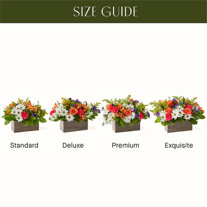 Oopsie Daisy Box Bouquet –  Piedmont Florist, Piedmont MO