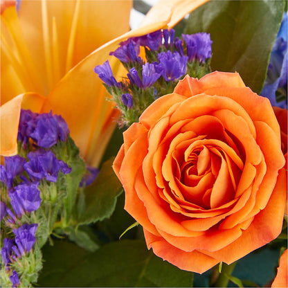 Radiant Citrus Box Bouquet –  Piedmont Florist, Piedmont MO