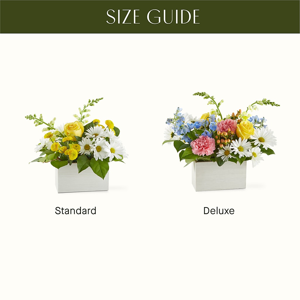 Sun Salutation Box Bouquet –  Piedmont Florist, Piedmont MO