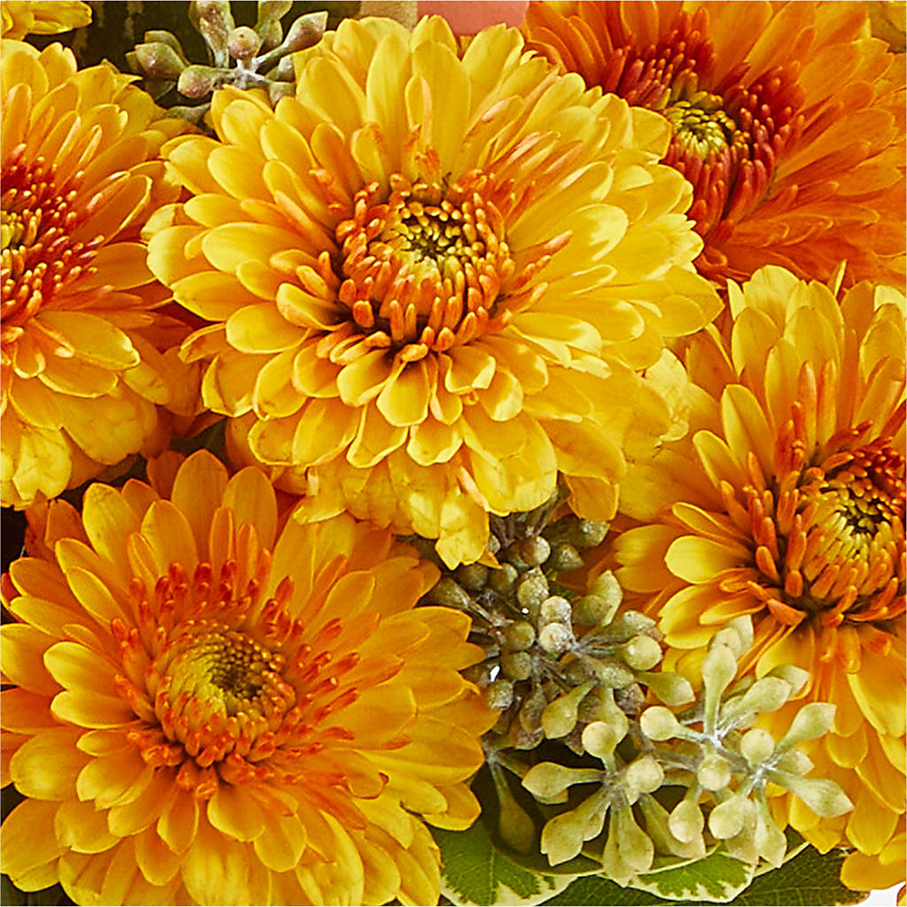 Peachy Pumpkin –  Piedmont Florist, Piedmont MO