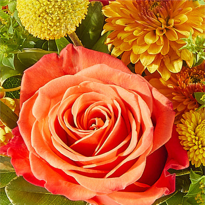 Gourdgeous Pumpkin –  Piedmont Florist, Piedmont MO
