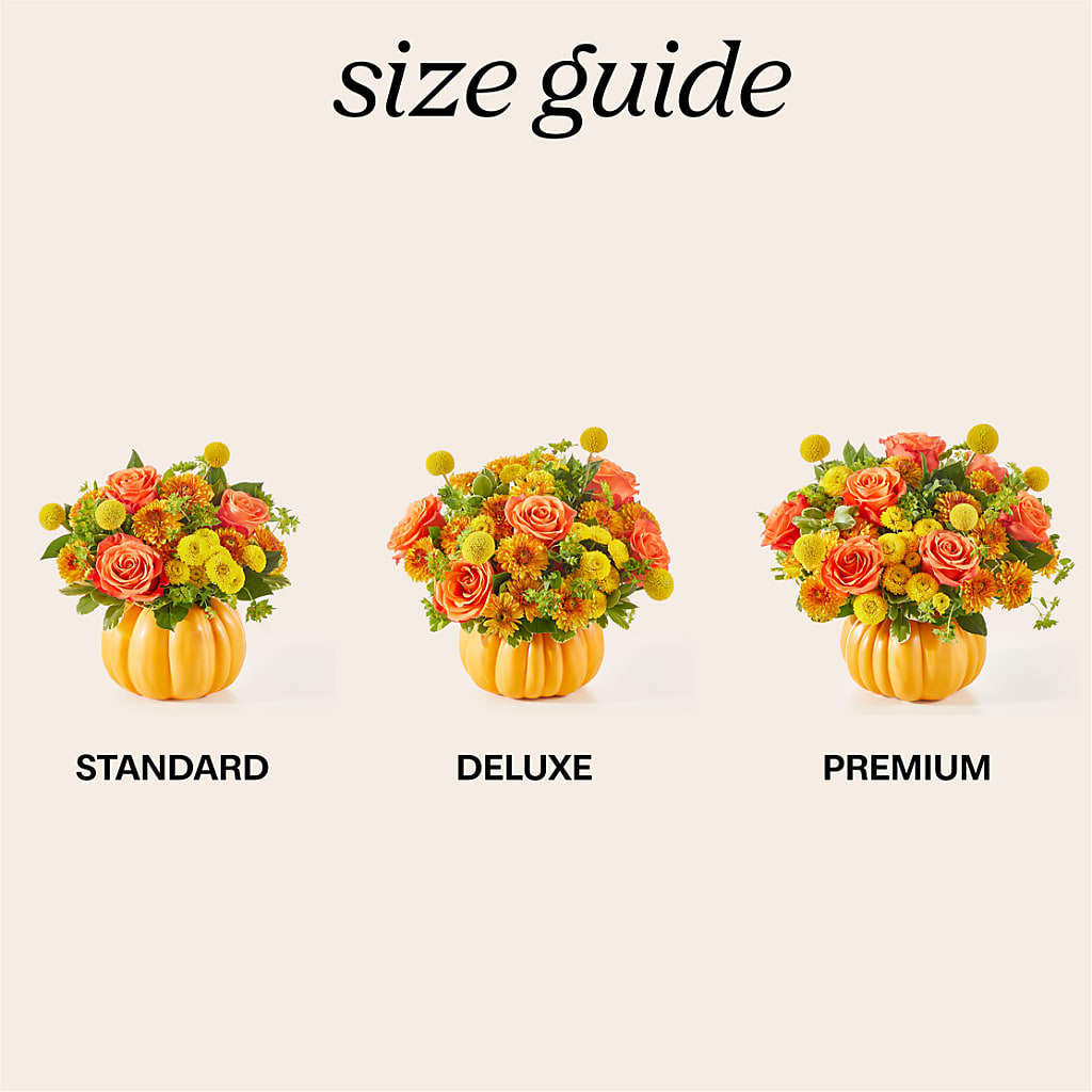 Gourdgeous Pumpkin –  Piedmont Florist, Piedmont MO