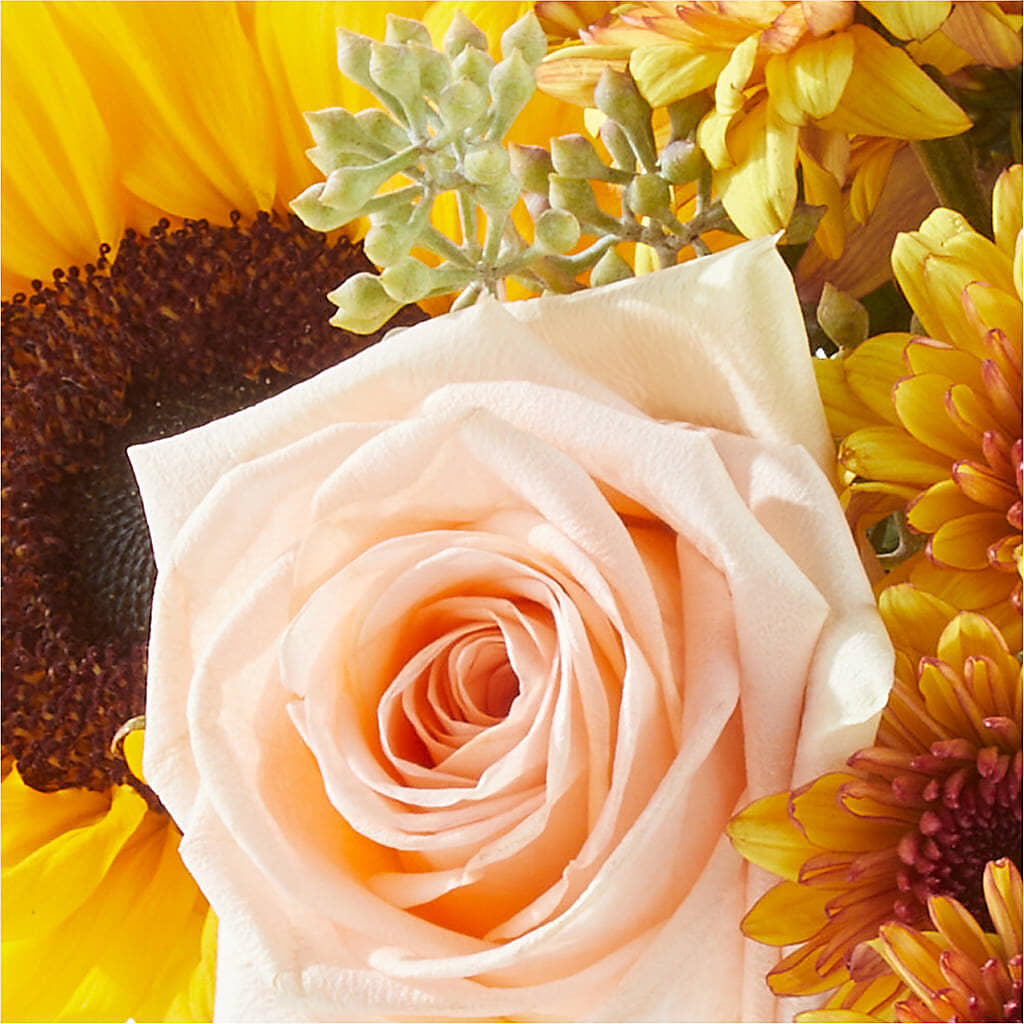 Pumpkin to Talk About Bouquet –  Piedmont Florist, Piedmont MO