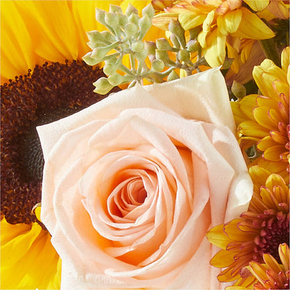 Pumpkin to Talk About Bouquet –  Piedmont Florist, Piedmont MO