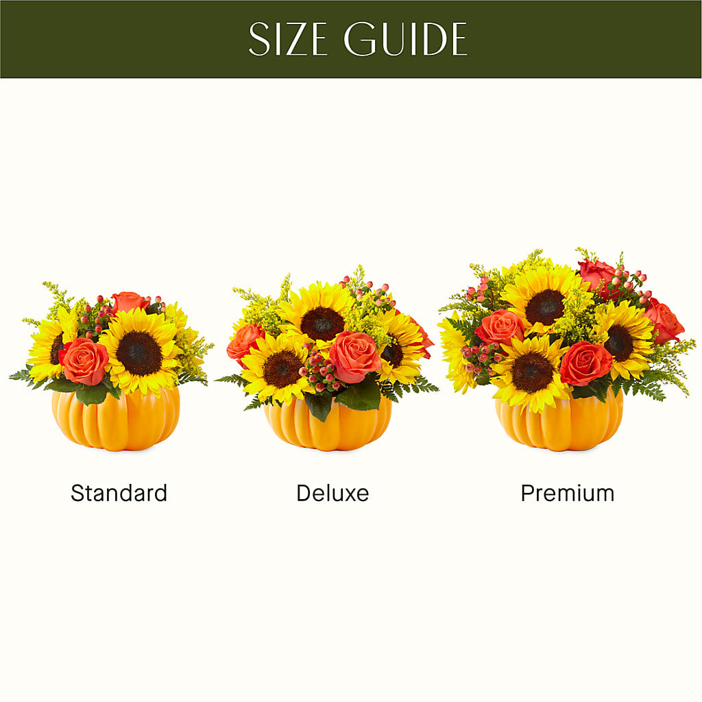 Pick of the Patch Pumpkin Bouquet –  Piedmont Florist, Piedmont MO