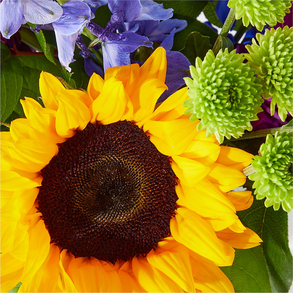 Catching Rays Bouquet –  Piedmont Florist, Piedmont MO