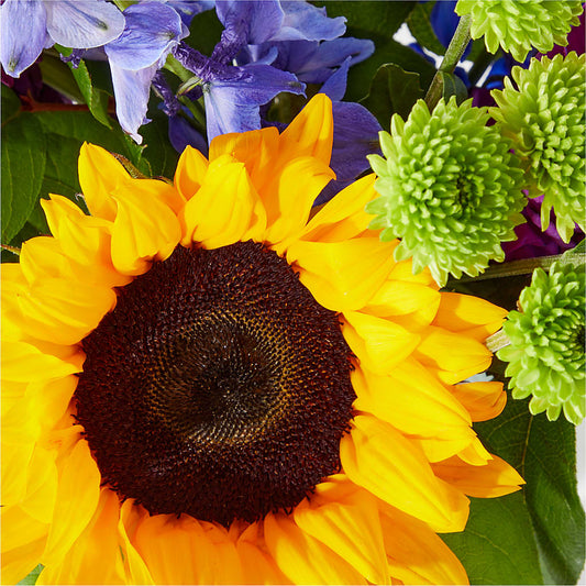 Catching Rays Bouquet –  Piedmont Florist, Piedmont MO