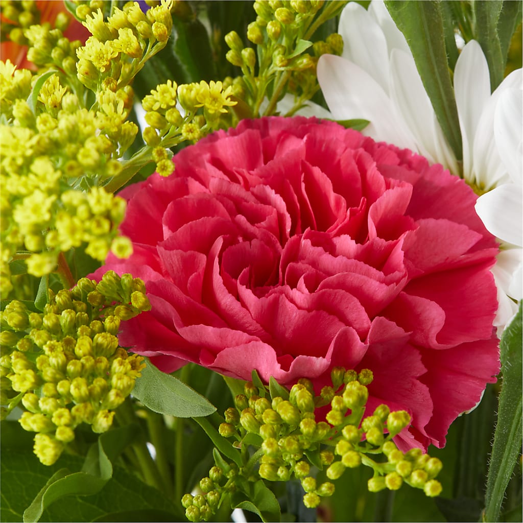 Oopsie Daisy Bouquet –  Piedmont Florist, Piedmont MO