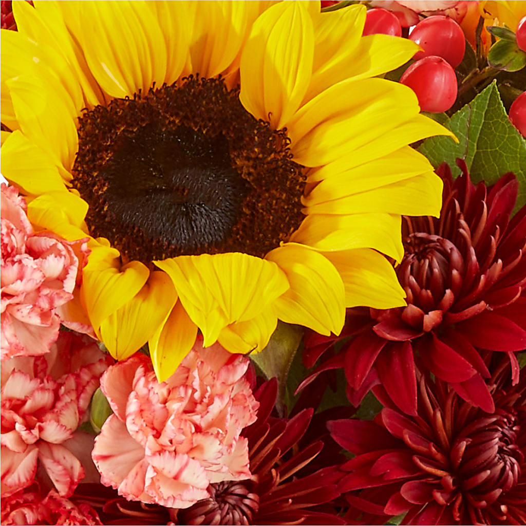 Fresh Cider Bouquet –  Piedmont Florist, Piedmont MO
