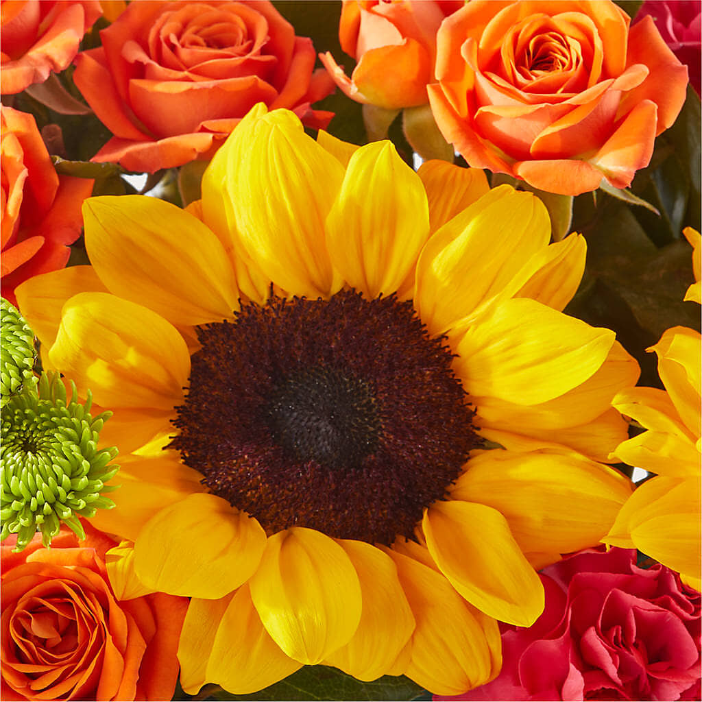 Sun-drenched Blooms Box Bouquet –  Piedmont Florist, Piedmont MO