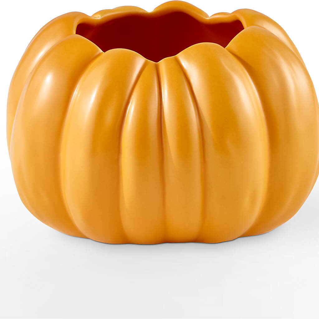 Pick of the Patch Pumpkin Bouquet –  Piedmont Florist, Piedmont MO