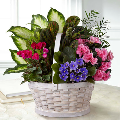 Peaceful Garden Planter –  Piedmont Florist, Piedmont MO