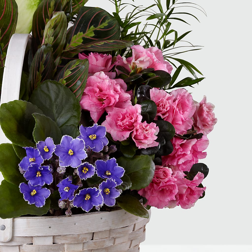 Peaceful Garden Planter –  Piedmont Florist, Piedmont MO