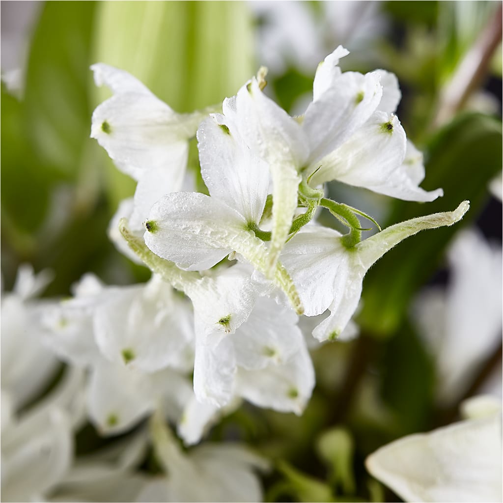 Classic Ivory – A Florist Original –  Piedmont Florist, Piedmont MO