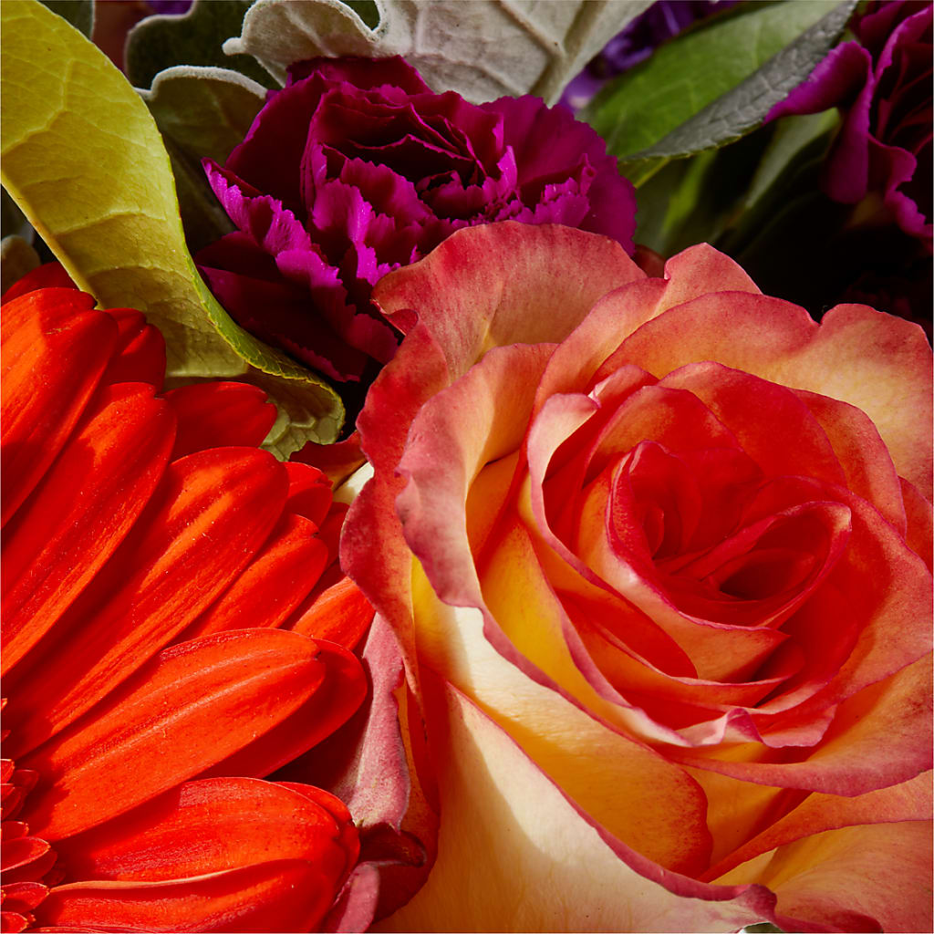 Sangria Bouquet –  Piedmont Florist, Piedmont MO