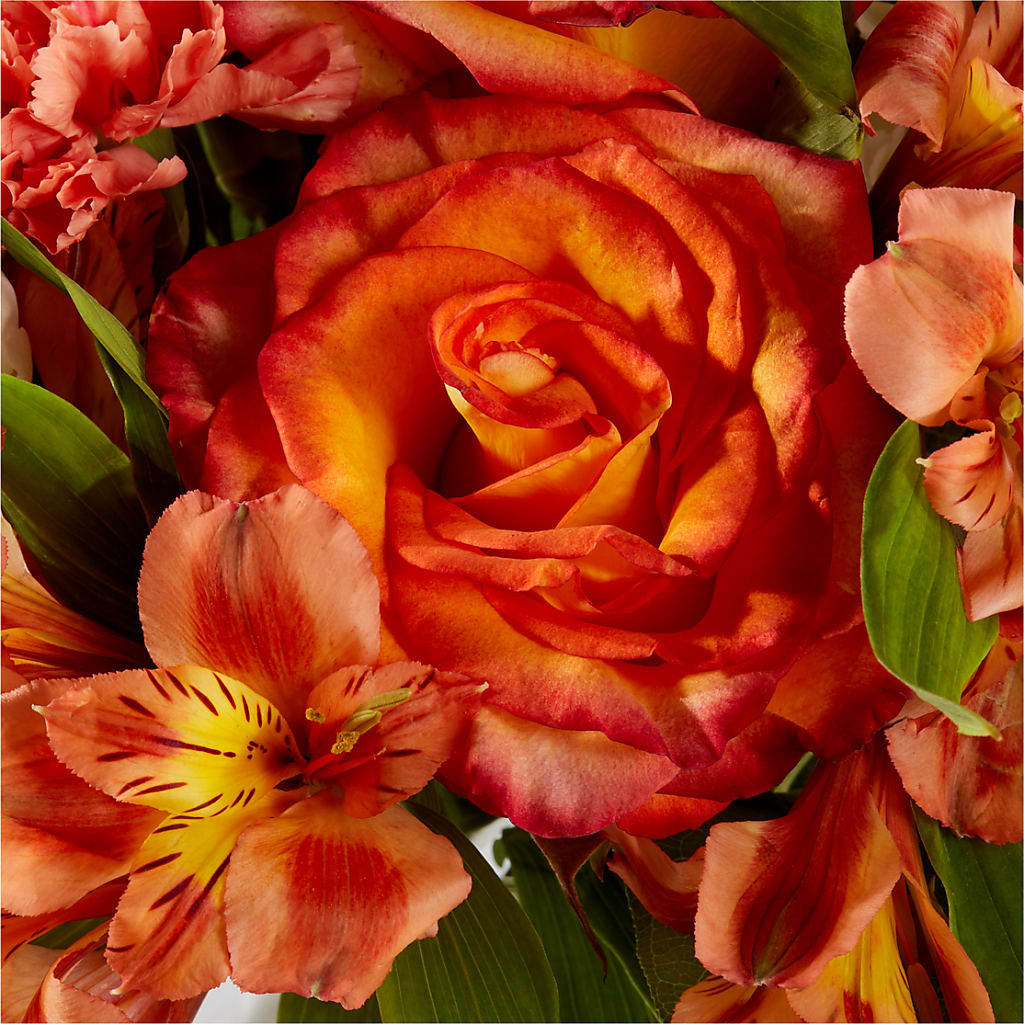 Apricot Glow Bouquet –  Piedmont Florist, Piedmont MO