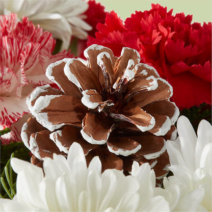 Candy Cane Lane Bouquet –  Piedmont Florist, Piedmont MO