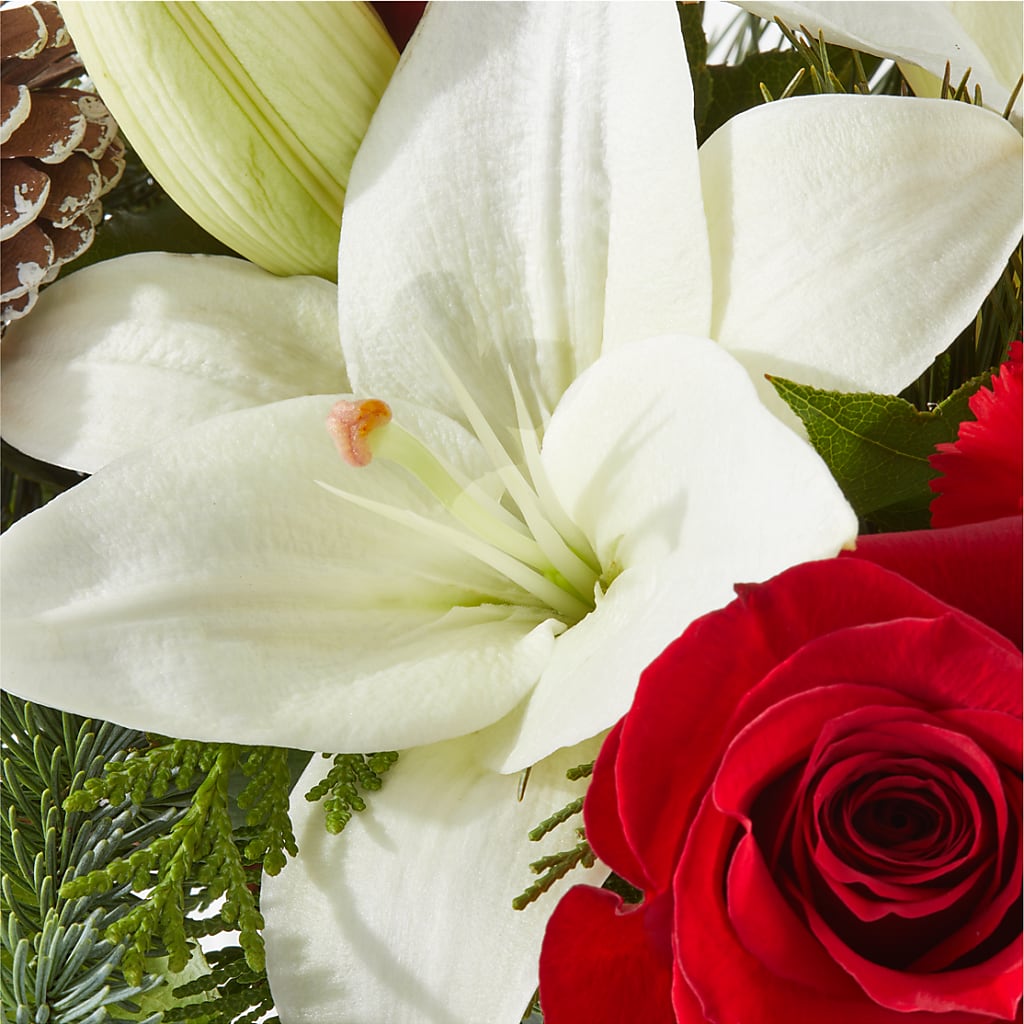 Oh So Jolly Bouquet –  Piedmont Florist, Piedmont MO