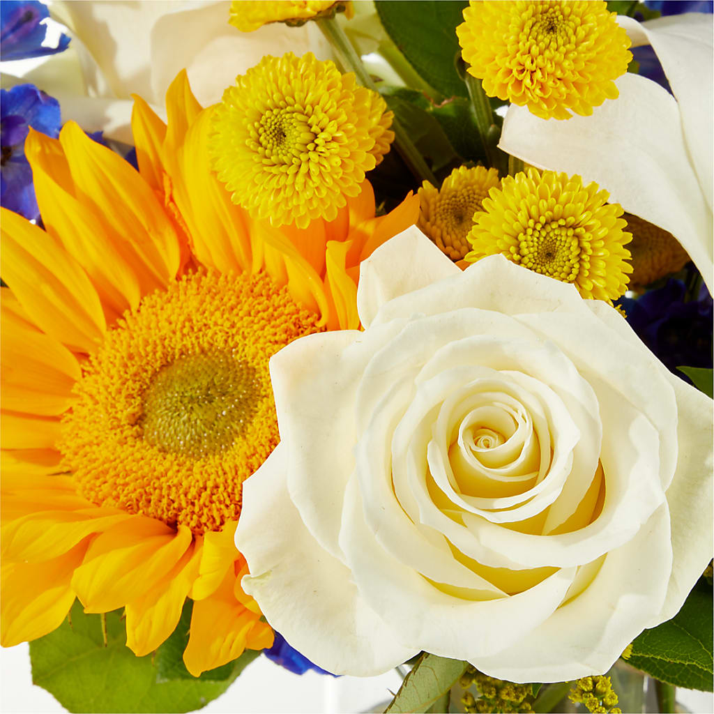 Stargazing Bouquet –  Piedmont Florist, Piedmont MO