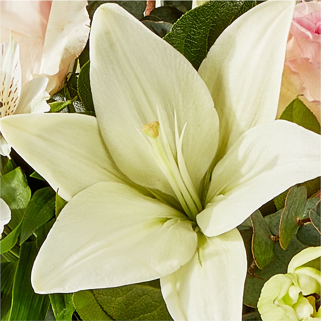 Ballet Slippers Bouquet –  Piedmont Florist, Piedmont MO