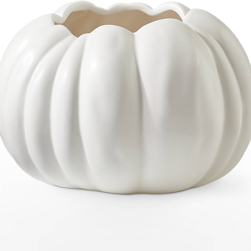 Pumpkin to Talk About Bouquet –  Piedmont Florist, Piedmont MO